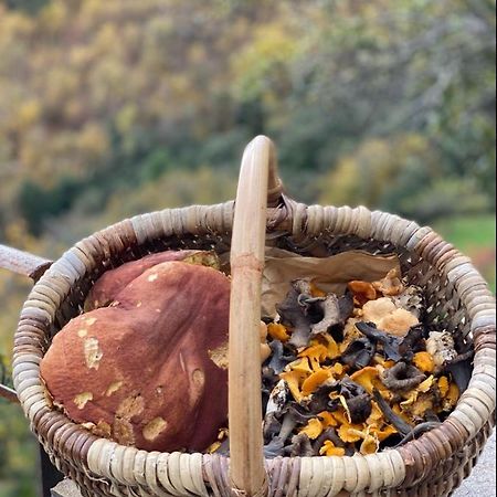 Domaine Le Verdier Saint-Michel-de-Dèze Eksteriør bilde